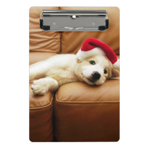 Welpe trägt einen Weihnachtshut und das Lügen au Mini Klemmbrett
