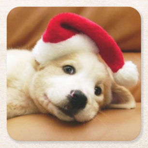 Welpe trägt einen Weihnachtshut und das Lügen au Rechteckiger Pappuntersetzer