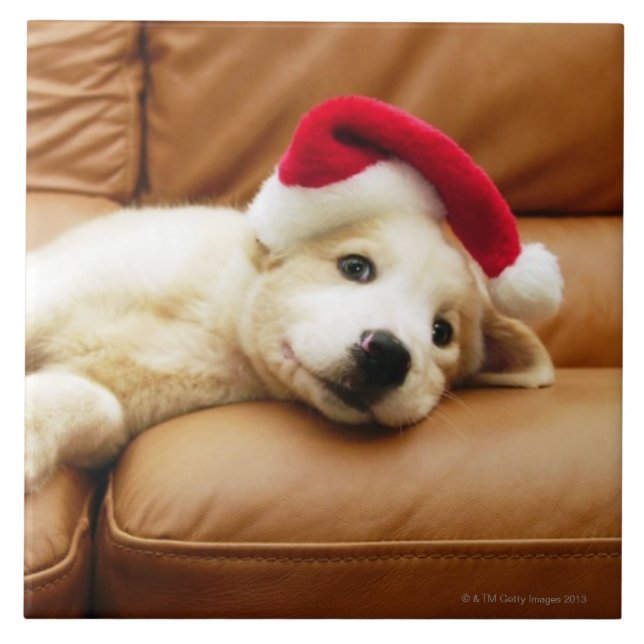 Welpe trägt einen Weihnachtshut und das Lügen auf Fliese (Vorderseite)