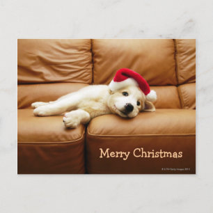 Welpe trägt einen Weihnachtsmütze und liegt auf de Feiertagspostkarte