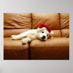 Welpe trägt einen Weihnachtsmütze und liegt auf de Poster