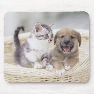 Welpe und Baby-Katze Mousepad