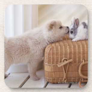 Welpe und Kaninchen Untersetzer