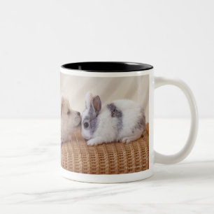 Welpe und Kaninchen Zweifarbige Tasse
