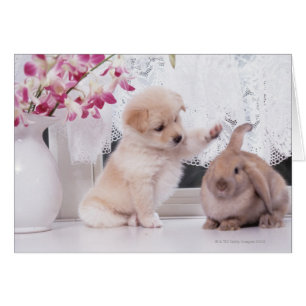 Welpe und Love Ohr Rabbit
