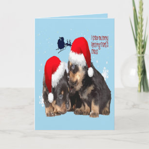 Welpe weiße Weihnachten mit dem Weihnachtsmann Sle