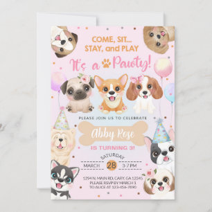 Welpe, Welpen, pawty Girl Geburtstagseinladung. Einladung