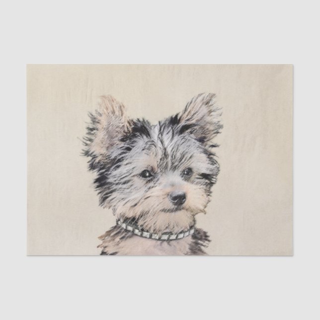 Welpe Yorkshires Terrier, der ursprüngliche Seidenpapier (Vorderseite)