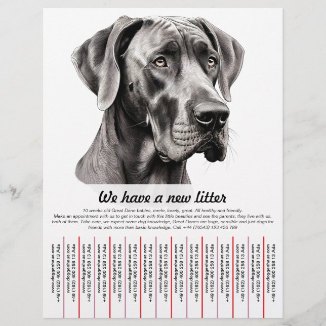 Welpe zum Verkauf Flyer Vorlagen (Vorne)