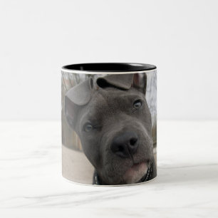 Welpe Zweifarbige Tasse