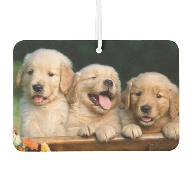 Welpen Air Freshener Autolufterfrischer (Vorderseite)