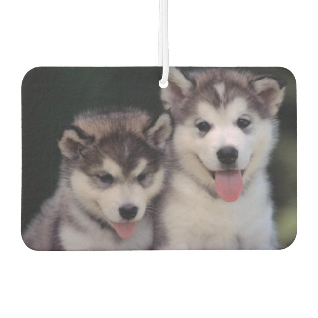 Welpen Air Freshener Autolufterfrischer (Vorderseite)
