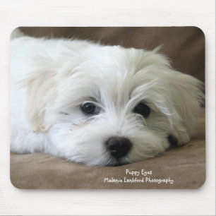 Welpen-Augen Mousepad