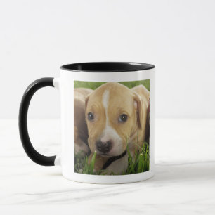 Welpen, die in Gras legen Tasse