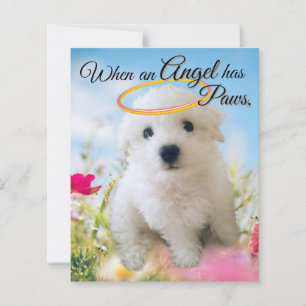 Welpen Engel