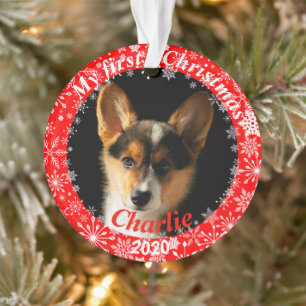 Welpen Erstes Weihnachtsfest-Foto Ornament