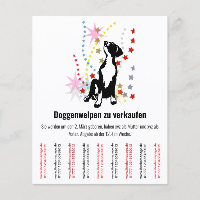 Welpen Flyer  (Vorne)