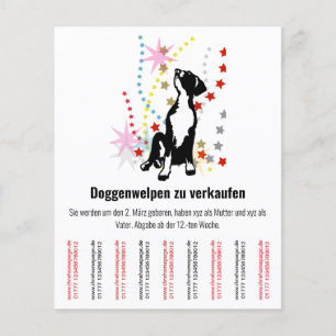 Welpen-Flyer Flyer