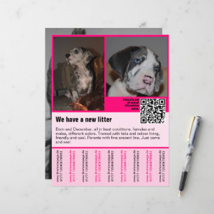 Welpen für den Verkauf Flyer Vorlage QR-Code