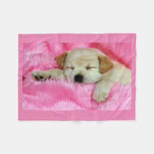 Welpen-Hund, der auf rosa Fleece-Decke schläft Fleecedecke