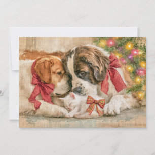 Welpen Hunde Kätzchen Liebe Weihnachten