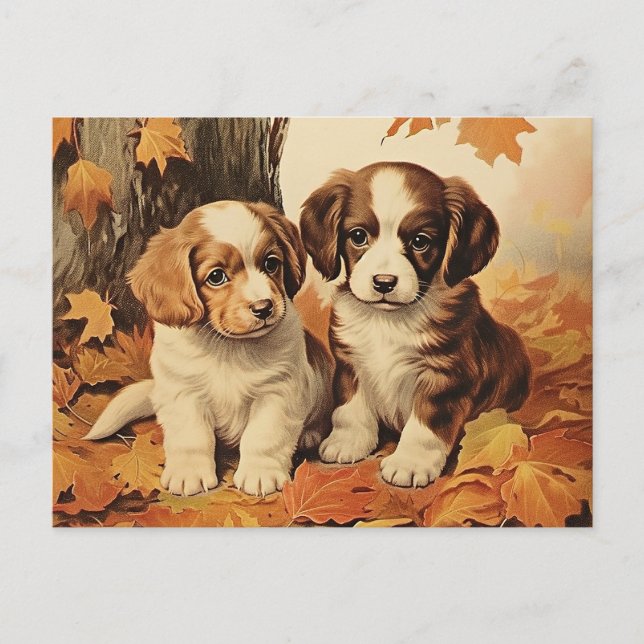 Welpen im Herbst und Ahorn-Blätter, Postkarte (Vorderseite)
