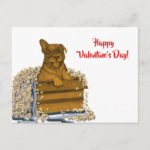 Welpen im Karton, Frohen Valentinstag! Postkarte