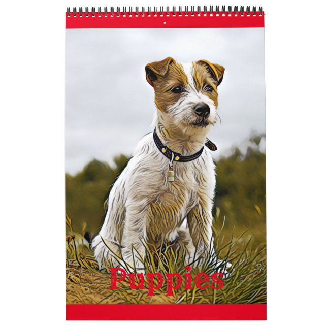 Welpen Kalender (Titelbild)