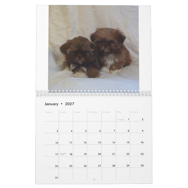 Welpen-Kalender 2015 Shih Tzu Kalender (Jan 2027)