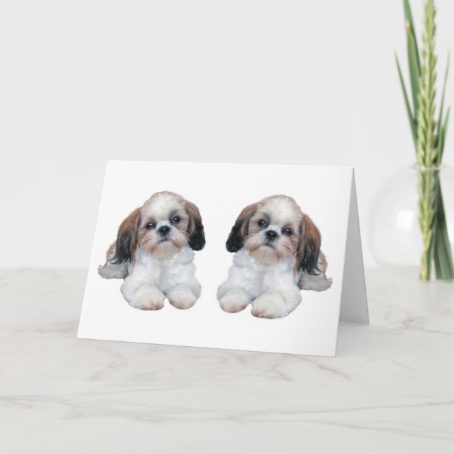 Welpen-Karte Shih Tzu Karte (Vorderseite)