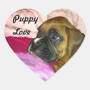Welpen-Liebe-Boxer-Aufkleber Dexter Herz-Aufkleber