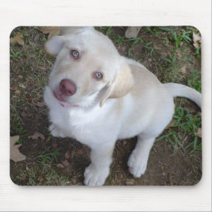 Welpen-Liebe Mousepad