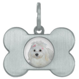 Welpen Liebe Niedlich maltesischer Hund Tiermarke