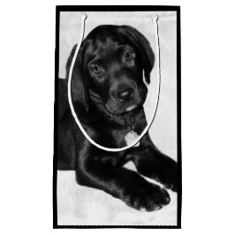 Welpen-Liebeschwarzes Labrador Kleine Geschenktüte