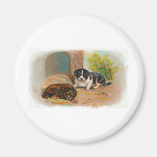 Welpen Magnet