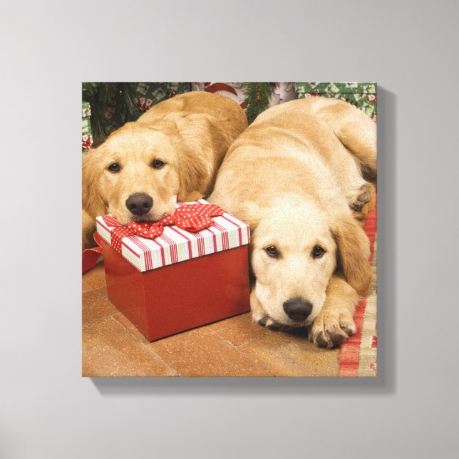 Welpen mit Weihnachtsgeschenk Leinwanddruck (Vorderseite)