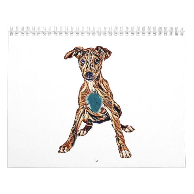 Welpen-Mix für australische Rinder-Hunde Kalender (Titelbild)