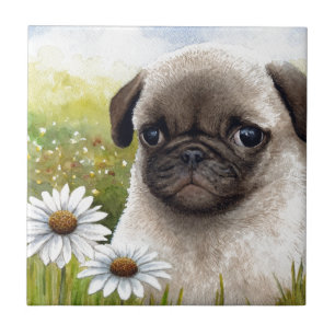 Welpen-Mops des Hund114 Fliese