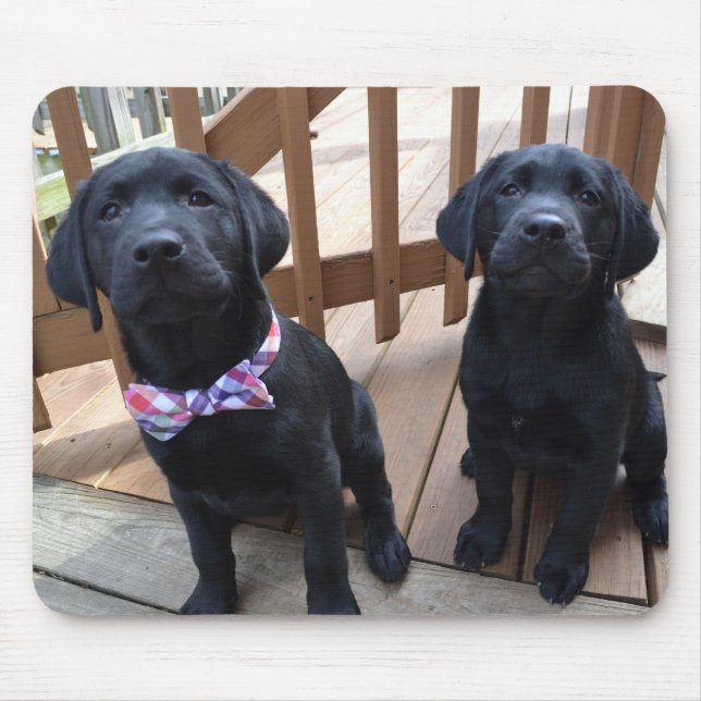 Welpen Mousepad (Vorne)