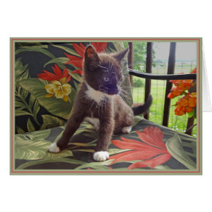 Welpen Notiz Katzen 4
