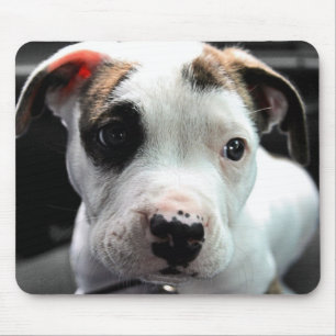 Welpen-Pitbull-förmiger Knochen Mousepad