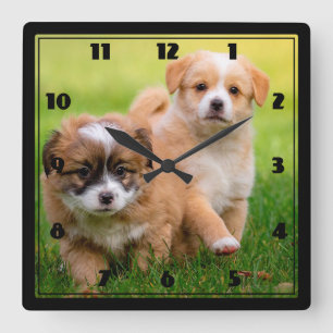 Welpen Quadratische Wanduhr