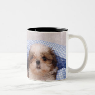 Welpen Shih Tzu unter einer überprüften Decke Zweifarbige Tasse