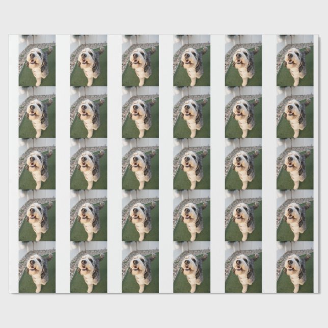 Welpen Socken Geschenkpapier (Flach)