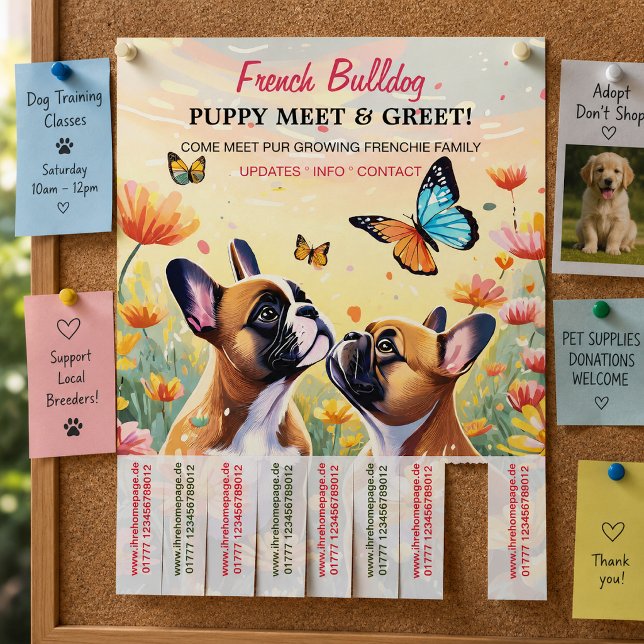 Welpen Treffen & Greet Flyer  (Von Creator hochgeladen)