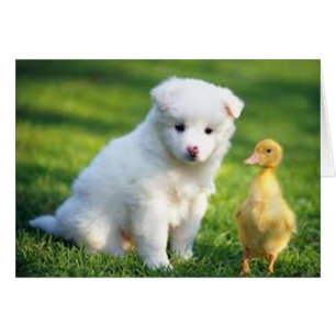 Welpen und Enkeln