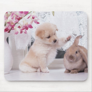 Welpen-und Schmierölniederdruck-Ohr-Kaninchen Mousepad