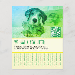 Welpen-Verkaufs-Vorlage Flyer
