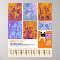 Welpen-Verkaufsplakat Vorlage 6 Bilder QR-Code