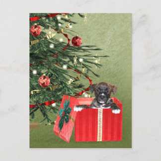 Welpen Weihnachten